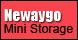 Newaygo Mini Storage - Newaygo, MI