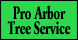 Pro Arbor Tree Service - Gadsden, AL