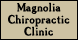 Magnolia Chiropractic - Tallahassee, FL