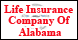 Life Insurance Co of Alabama - Gadsden, AL