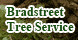 Bradstreet Tree Service - Springboro, OH