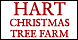 Hart Christmas Tree Farm - Rockford, MI