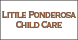 Little Ponderosa Child Care - Sunnyvale, TX