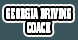 Georgia Driving Coach