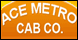 Acemetrocabco_2274881_bb