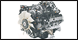 Allstar Engine - Hewitt, TX
