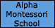 Alpha Montessori School - Metairie, LA