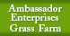 Ambassador Enterprises Grass - San Antonio, TX