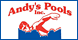 Andy's Pools Inc - Jacksonville Beach, FL