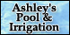 Ashley's Pool and Irrigation, Inc. - Cocoa Beach, FL