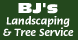 BJ's Landscaping & Tree Service - Spring Hill, FL