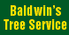 Baldwin's Tree Service - Center, TX