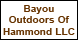 Bayou Outdoors Of Hammond - Hammond, LA