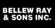 Ray Bellew & Sons Inc - Houston, TX