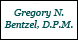 Bentzel Gregory N Dpm - Greer, SC