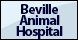 Beville Animal Hospital - Daytona Beach, FL