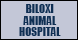 Biloxi Animal Hospital - Biloxi, MS