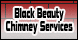 Black Beauty Chimney Services - Chico, CA