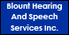 Blount Hearing And Speech Services Inc - Maryville, TN