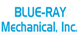 Blue-Ray Heating & Cooling Inc - Hazel Park, MI