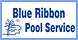 Blue Ribbon Pool Service - Fort Worth, TX