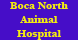 Boca North Animal Hospital - Boca Raton, FL