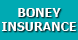 Boney Insurance Office - York, SC