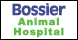 Snyder, L L, DVM Bossier Animal Hospital - Bossier City, LA