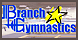 Branch Gymnastics - Battle Creek, MI