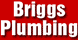 Briggs Plumbing - Kalamazoo, MI