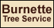 Burnette Tree Service - Brookhaven, GA