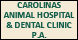 The Carolinas Animal Hospital & Dental Clinic - Charlotte, NC