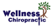 Carpenter, J C A, Dc - Wellness Chiropractic - Ballwin, MO