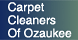 Carpet Cleaners Of Ozaukee - Port Washington, WI