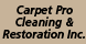 Carpet Pro Cleaning & Restoration Inc. - Stevens Point, WI