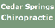 Cedar Springs Chiropractic-Dr. Steven J. Tutt - Dallas, TX