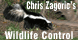 Chris Zagoric's Wildlife Cntrl - Sylvania, OH