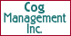 Cog Management Inc. - Dallas, GA