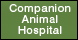 Companion Animal Hospital - Phenix City, AL