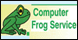 Computer Frog - Mount Morris, MI