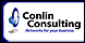 Conlin Consulting - Ann Arbor, MI