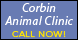 Corbin Animal Clinic - Corbin, KY