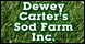 Dewey Carter's Sod Farm Inc - Milton, FL