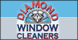 Diamond Window Cleaners LLC - Plymouth, MI