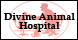 Divine Animal Hospital - Vero Beach, FL