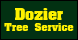 Dozier Tree Services - Augusta, GA