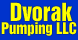 Dvorak Pumping Llc - Cottage Grove, WI