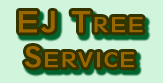 EJ Tree Service - Lincoln Park, MI