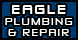 Eagle Plumbing & Repairs - Salisbury, NC