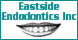 Eastside Endodontics Inc - Indianapolis, IN